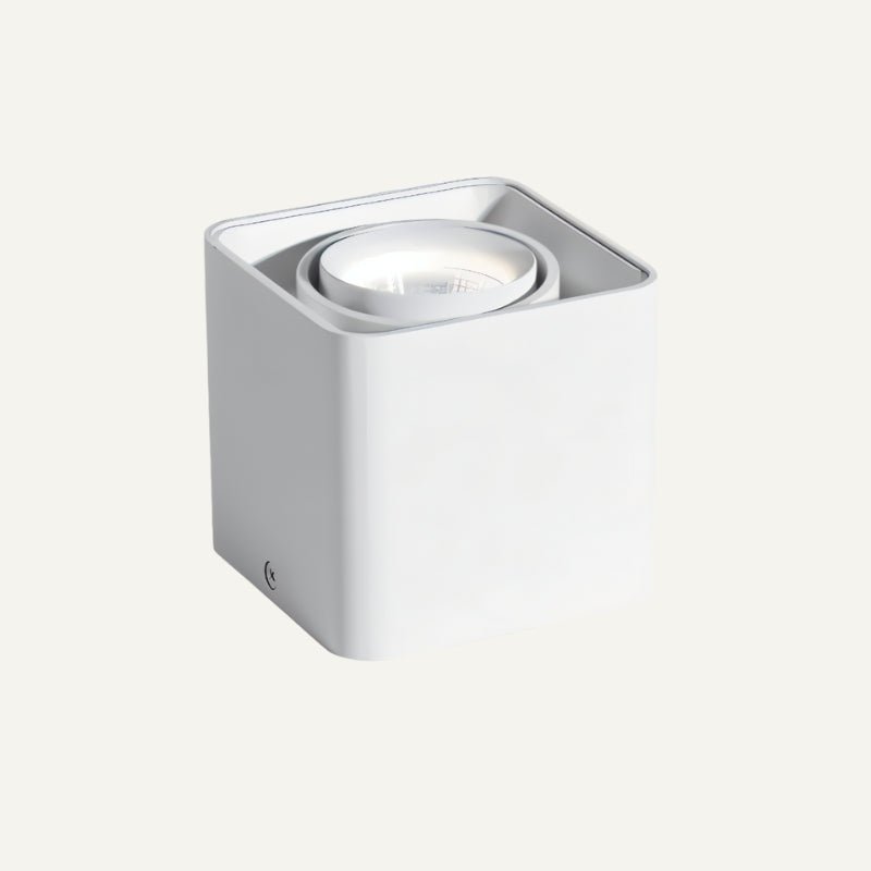 Eugenia Downlight