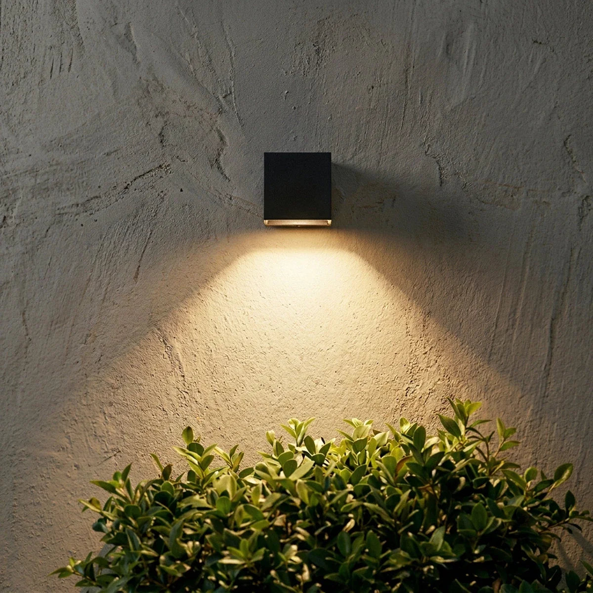 Evelyn Outdoor Wall Lamp
