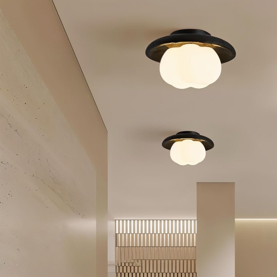 Nubilis Ceiling Light