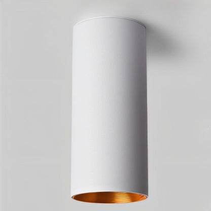 Eilin Ceiling Light - Open Box