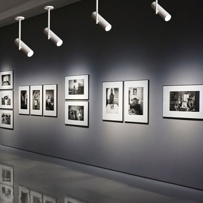 Eosys Ceiling Light