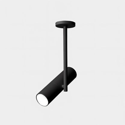 Eosys Ceiling Light