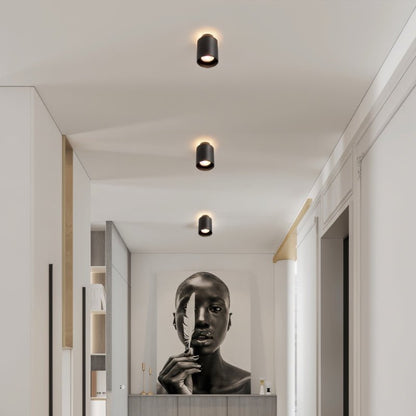 Lucinda Ceiling Light