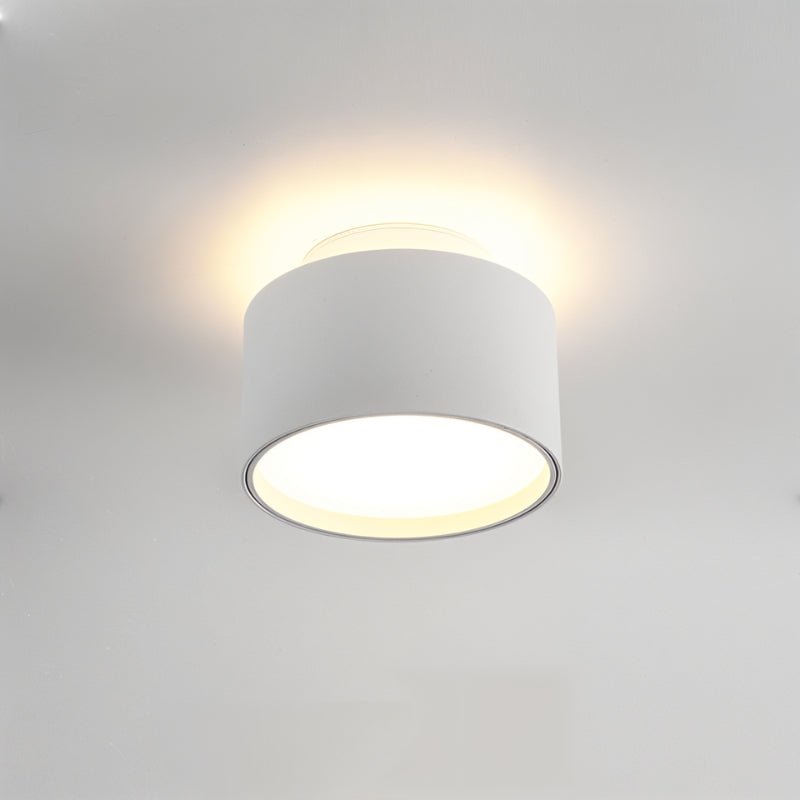Lucinda Ceiling Light