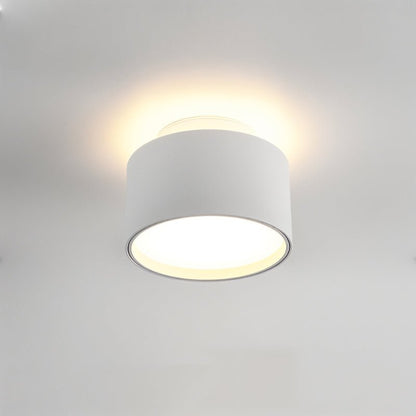 Lucinda Ceiling Light