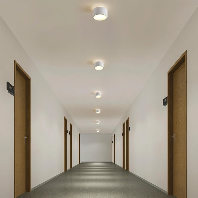 Lucinda Ceiling Light