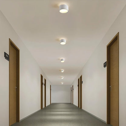 Lucinda Ceiling Light