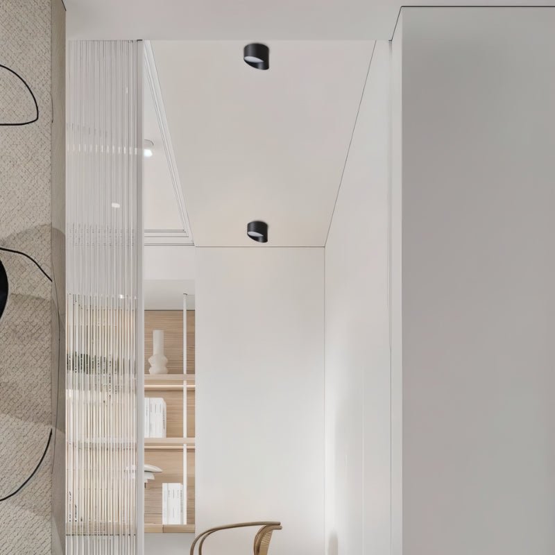 Siona Downlight