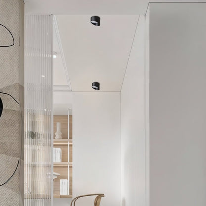 Siona Downlight