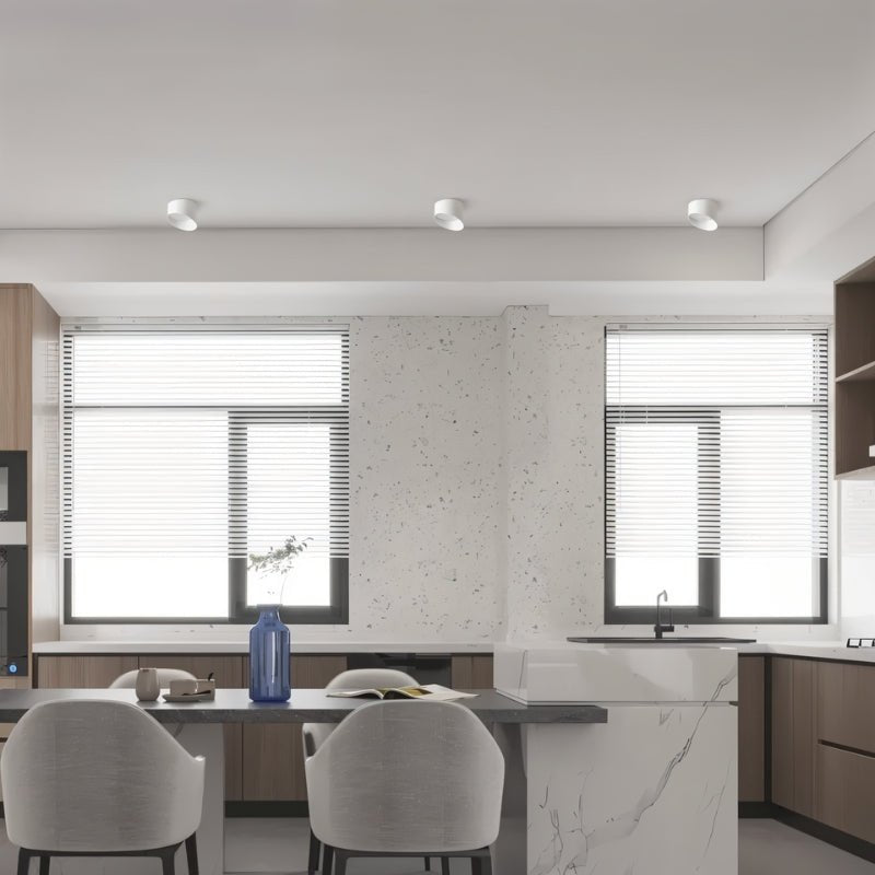 Siona Downlight