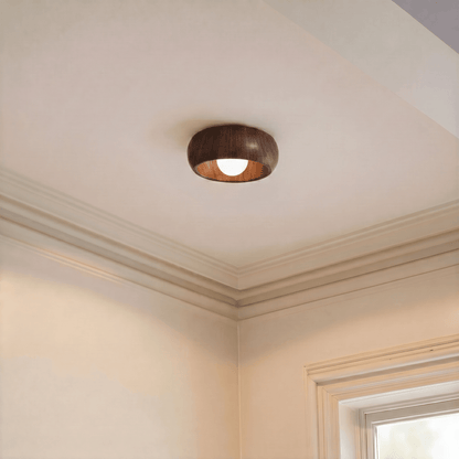 Aiko Ceiling Light