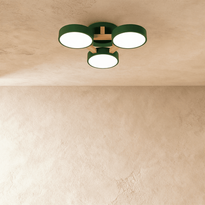 Ashane Ceiling Light