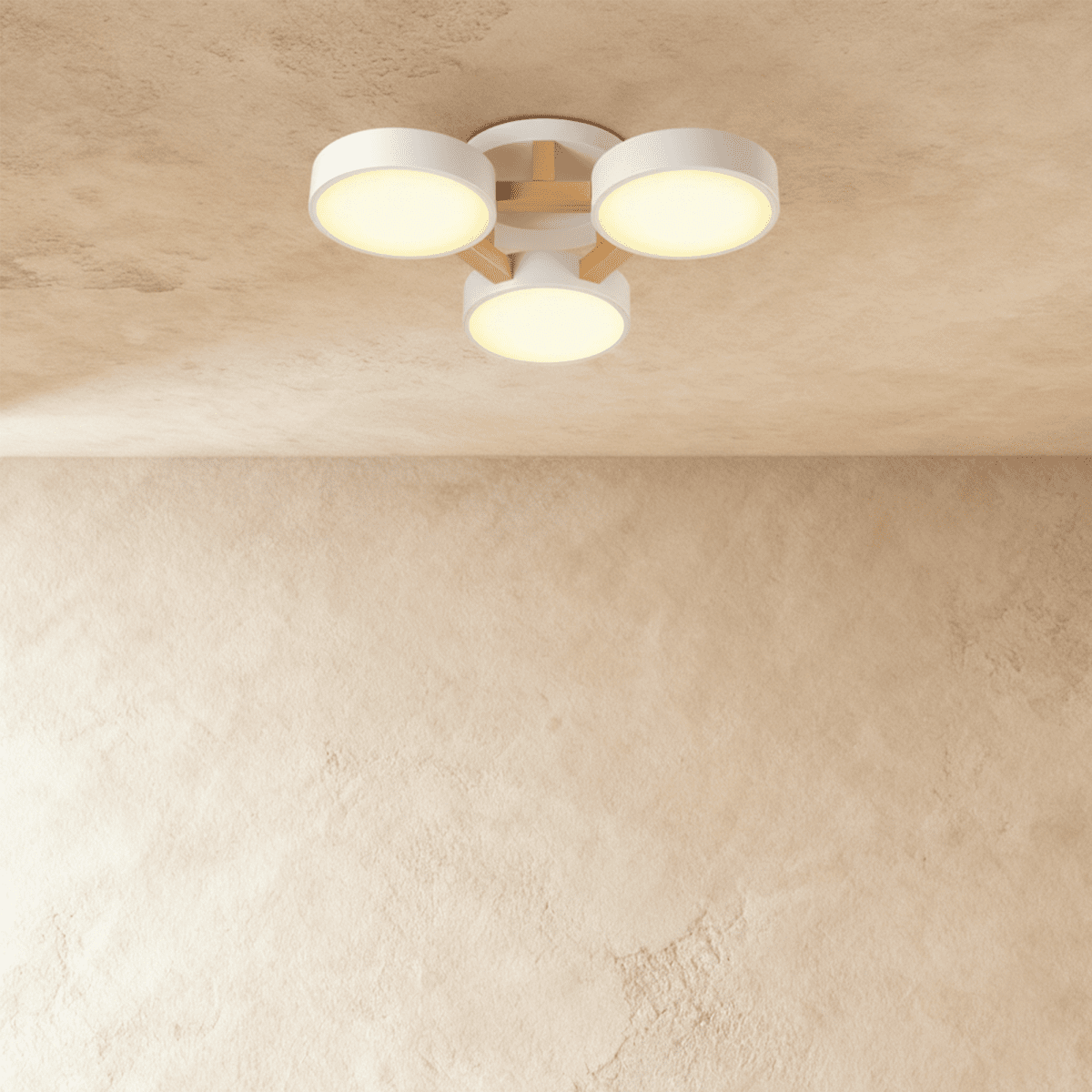 Ashane Ceiling Light