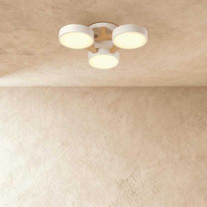 Ashane Ceiling Light