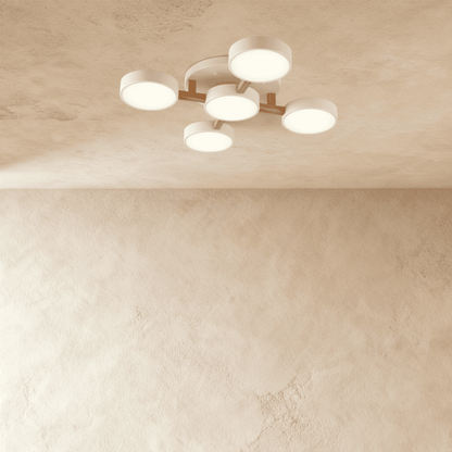 Ashane Ceiling Light