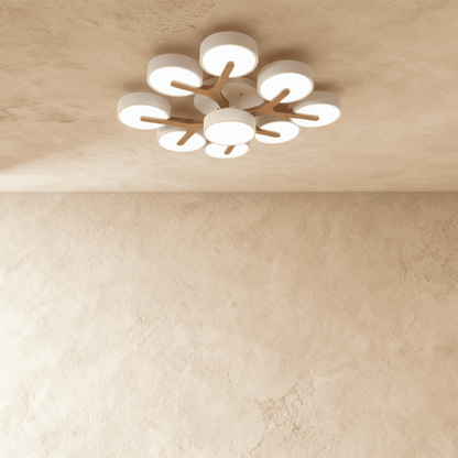 Ashane Ceiling Light