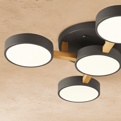 Ashane Ceiling Light