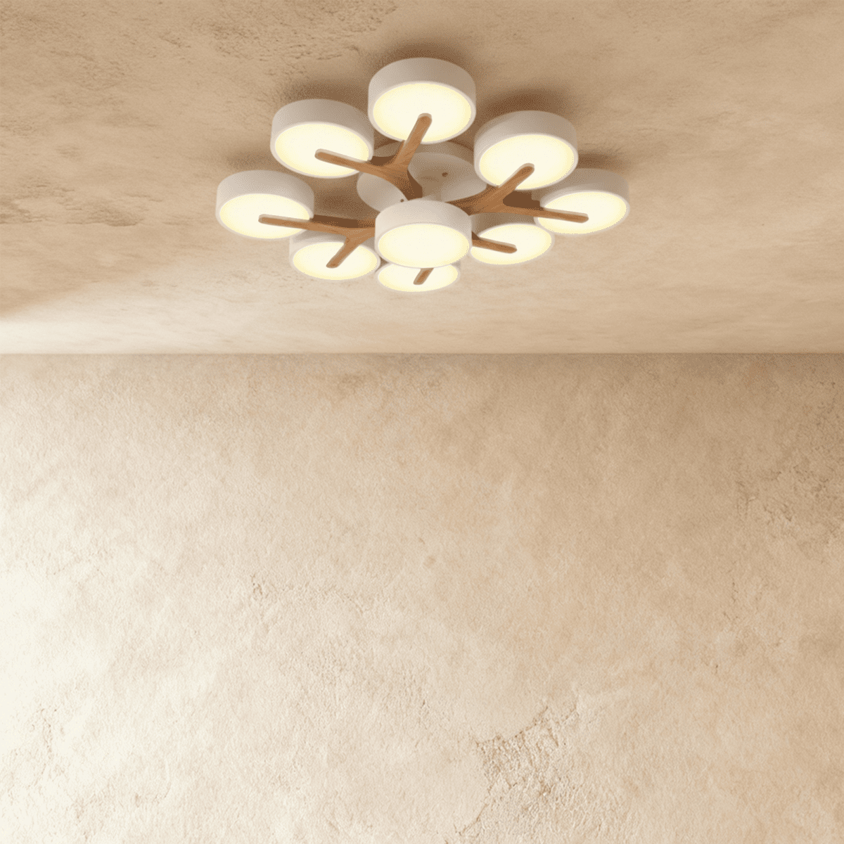 Ashane Ceiling Light