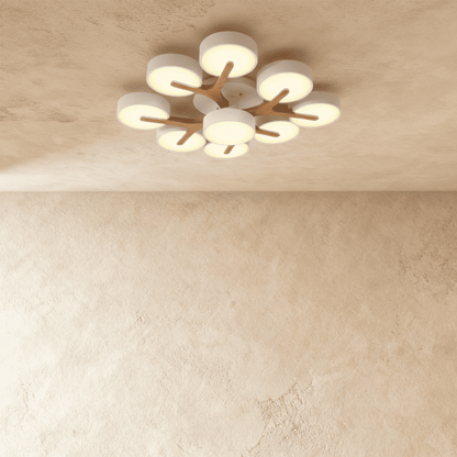 Ashane Ceiling Light