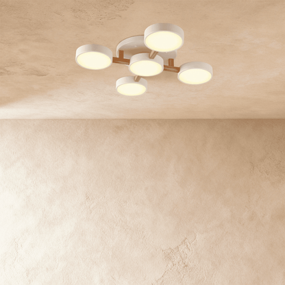 Ashane Ceiling Light