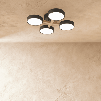 Ashane Ceiling Light