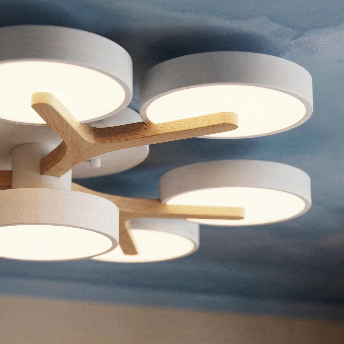 Ashane Ceiling Light