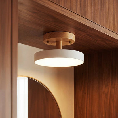 Ashane Ceiling Light