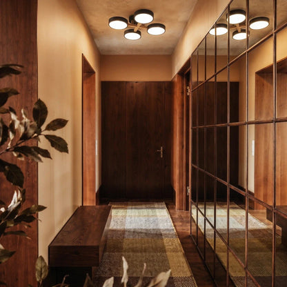 Ashane Ceiling Light