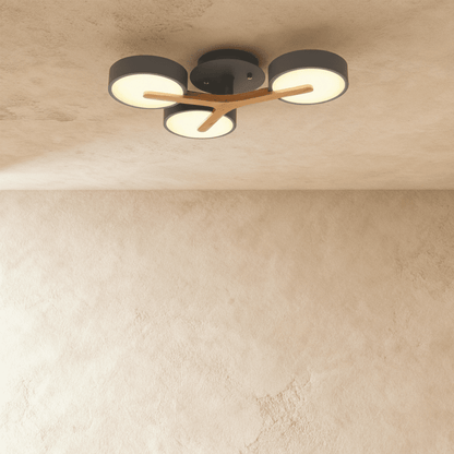 Ashane Ceiling Light