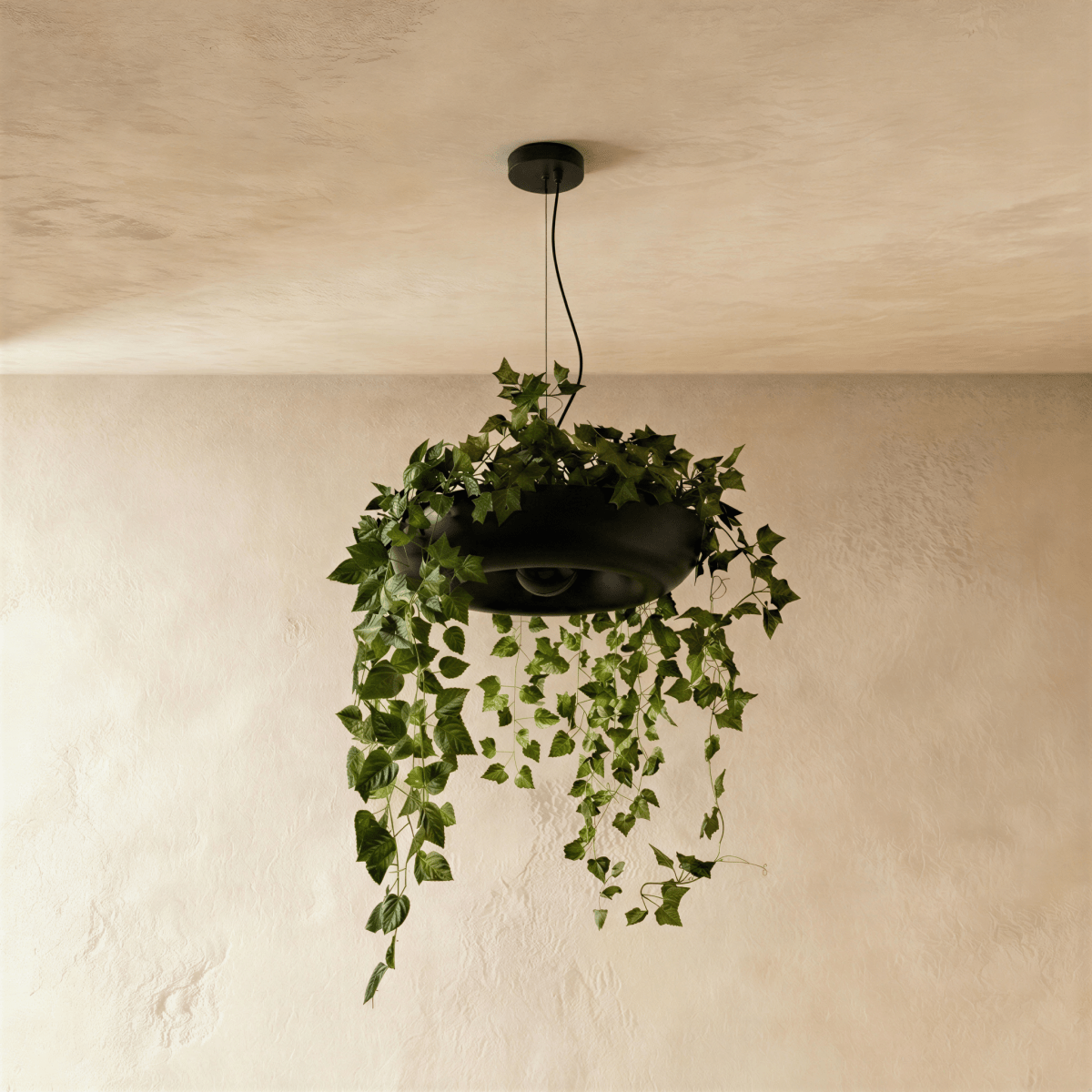 Aula Pendant Light