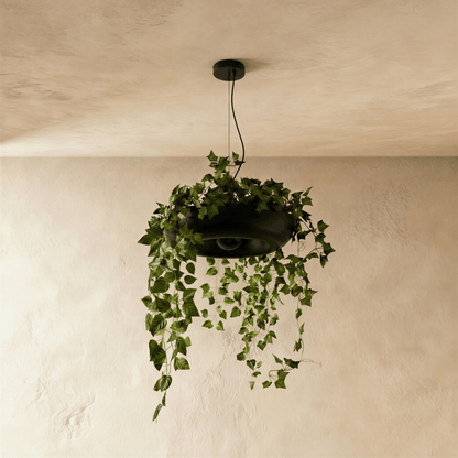 Aula Pendant Light