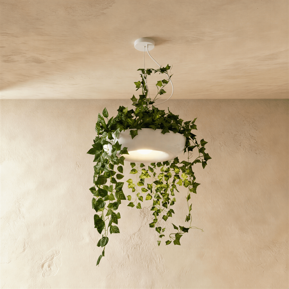 Aula Pendant Light