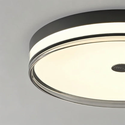 Aven Ceiling Light