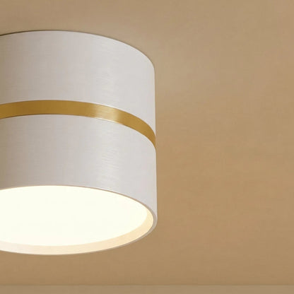 Chamani Downlight