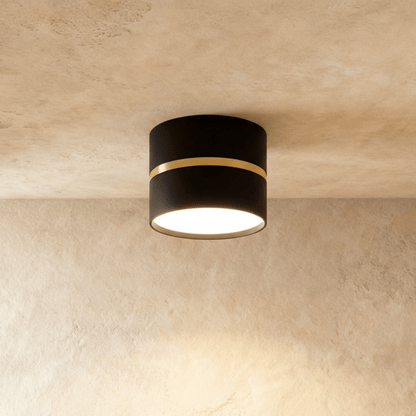Chamani Downlight
