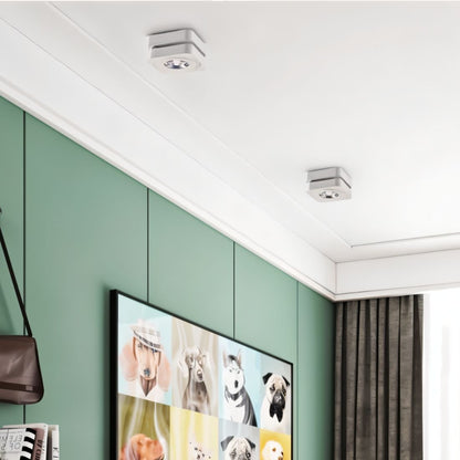 Deltha Downlight