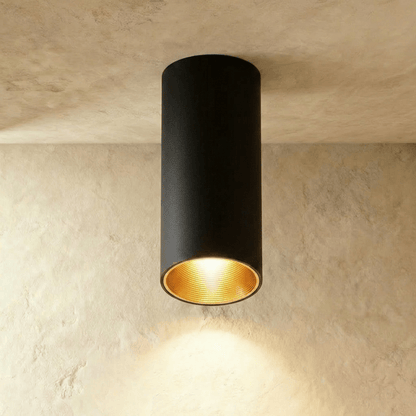 Dowan Downlight