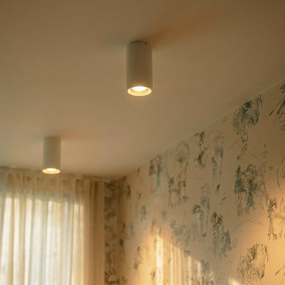 Dowan Downlight