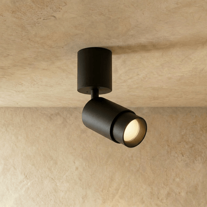 Edwin Downlight
