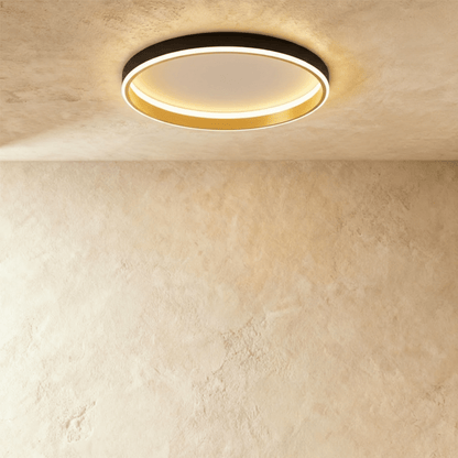 Esperanza Ceiling Light