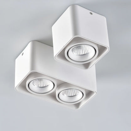 Eugenia Downlight