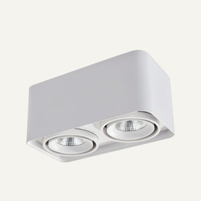 Eugenia Downlight