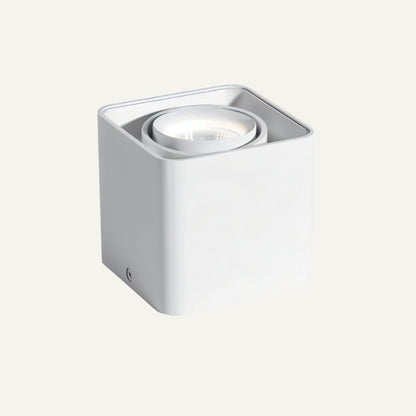 Eugenia Downlight