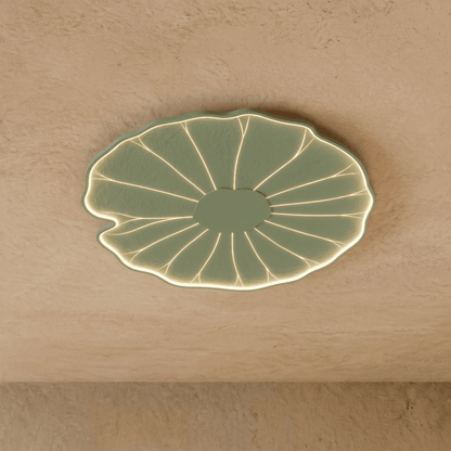 Fyntor Ceiling Light