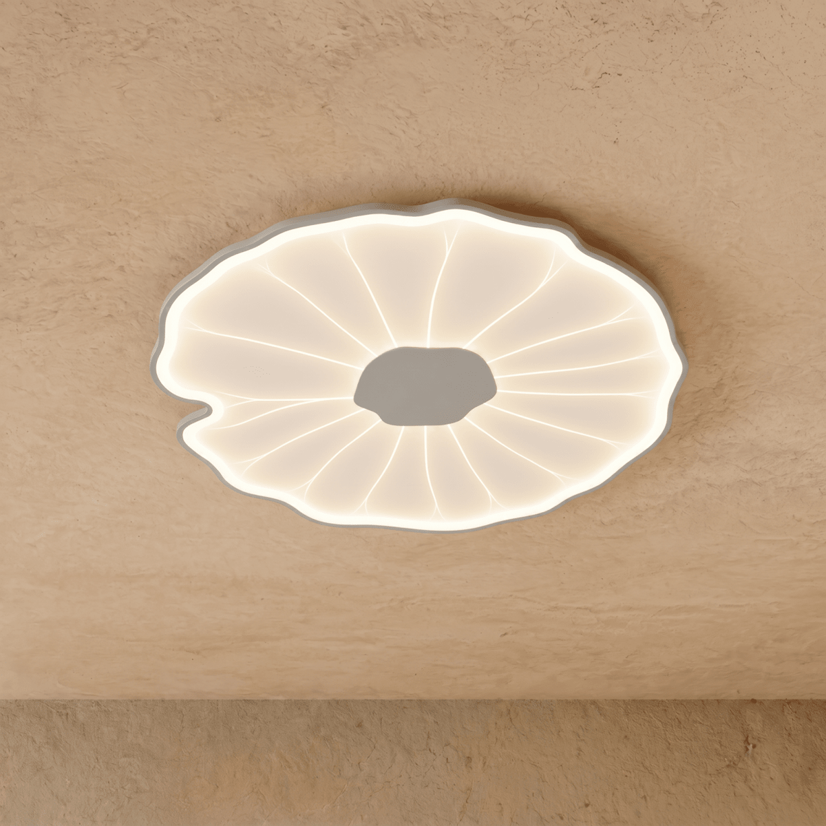 Fyntor Ceiling Light