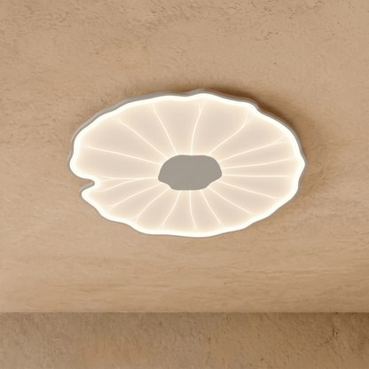 Fyntor Ceiling Light
