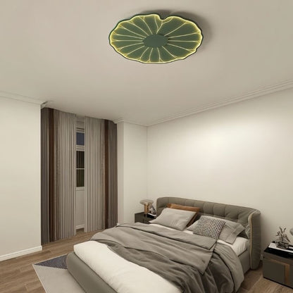 Fyntor Ceiling Light