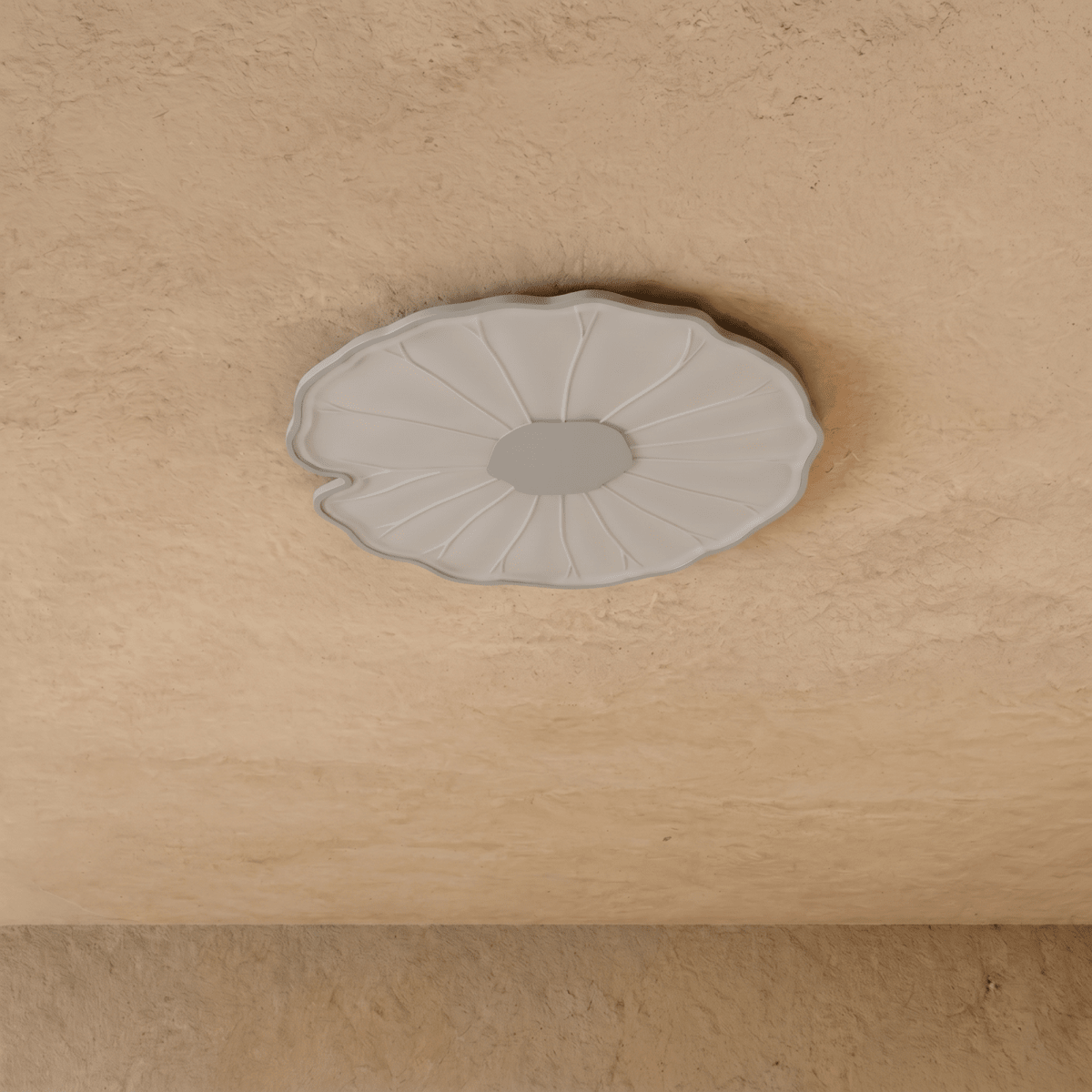 Fyntor Ceiling Light