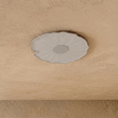 Fyntor Ceiling Light
