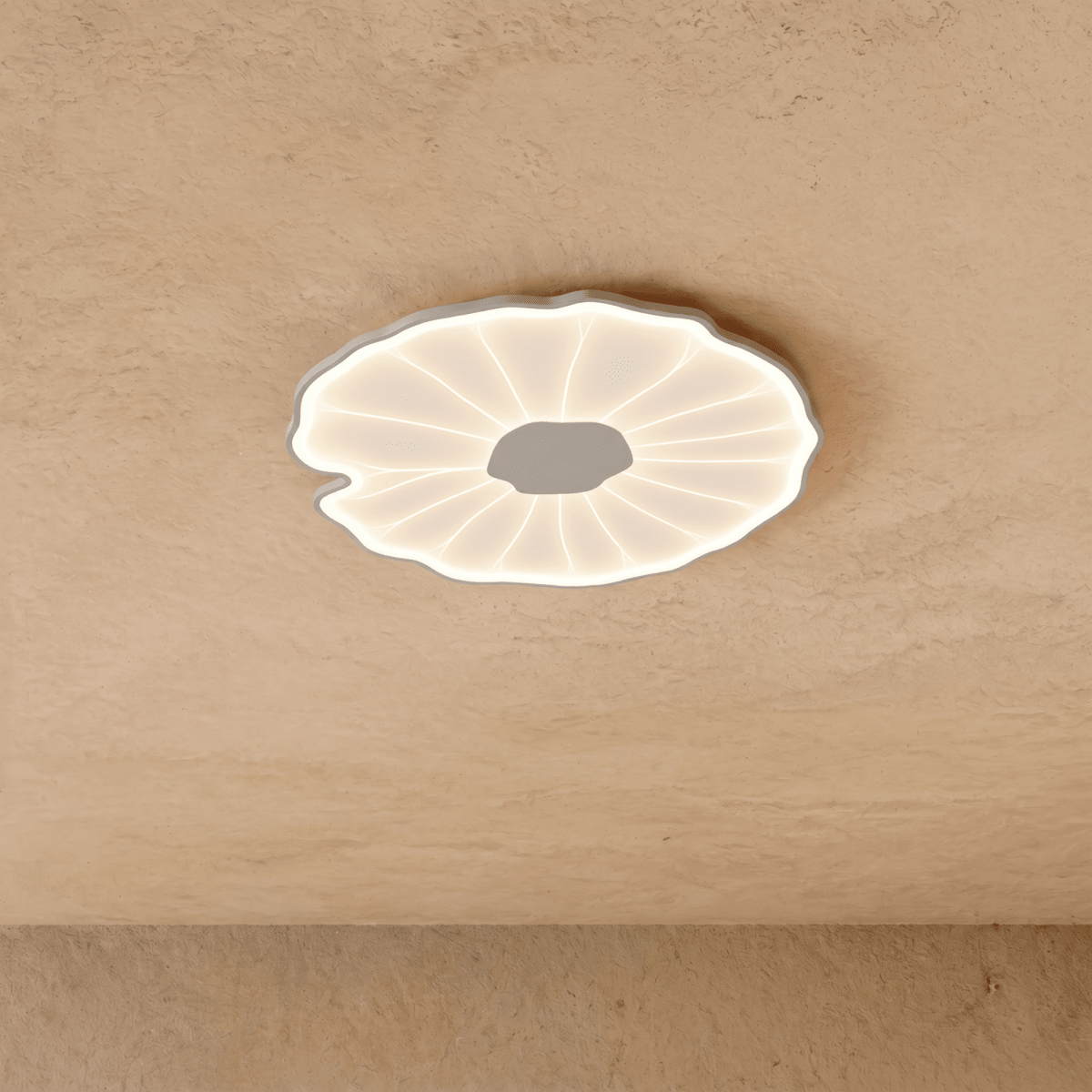 Fyntor Ceiling Light